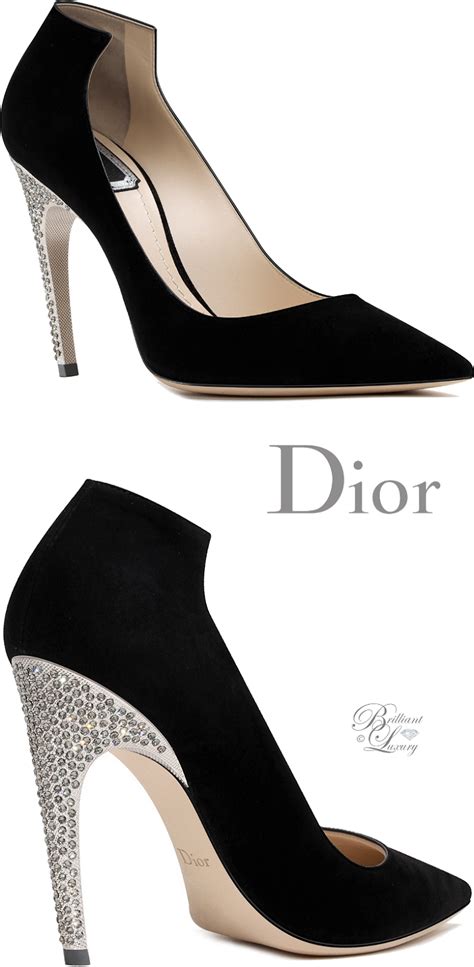 dior haute shoes|dior designer shoes color.